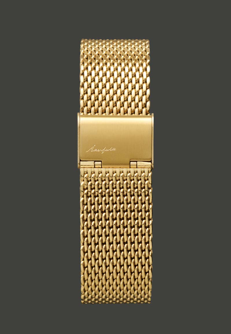 Metal Mesh Gold Strap